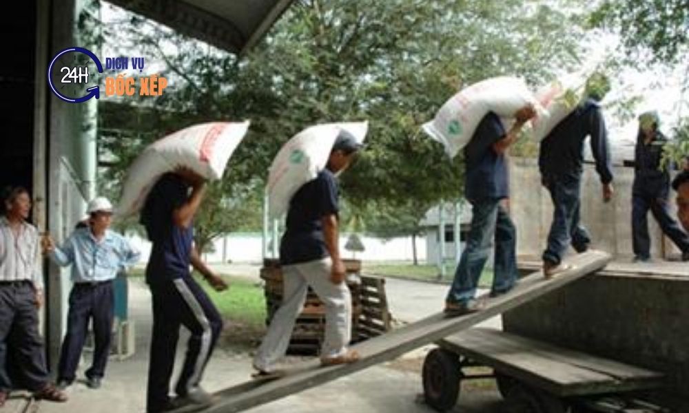 Dịch vụ bốc vác Hóc Môn nhận hỗ trợ ngoài giờ và ban đêm theo yêu cầu