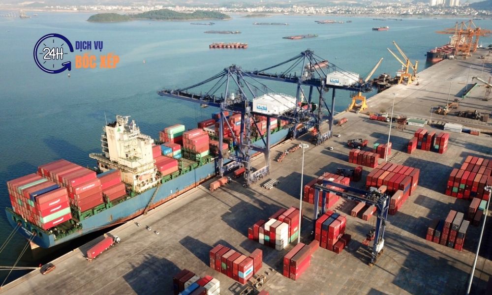 Dịch vụ bốc xếp bến cảng hỗ trợ bốc dỡ hàng hóa nhanh cho tàu và container