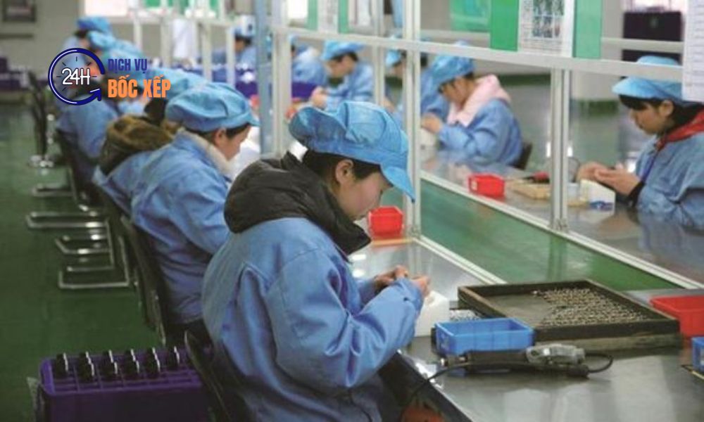 Dịch vụ thuê nhân lực lao động hỗ trợ nhanh cho kho xưởng và doanh nghiệp